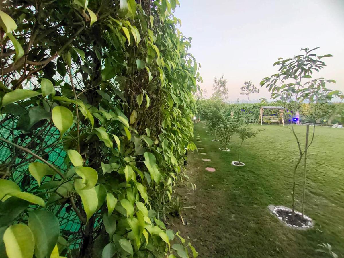 Shaw Estate-Farm House For A Small Parties-Jp Farm Greater Noida Bagian luar foto